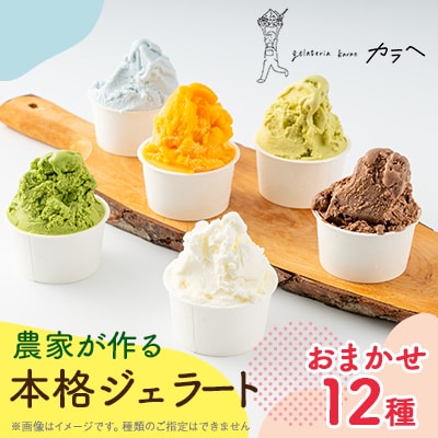 福岡県産 農家が作る本格ジェラート　　12種類おまかせセレクション【配送不可地域：離島】【1543307】