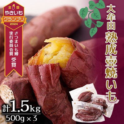 大牟田熟成壺焼いもセット【配送不可地域：離島】【1437767】