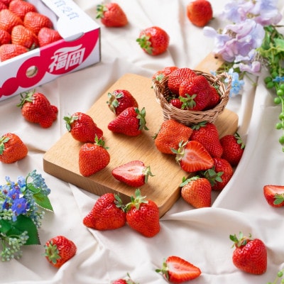 ã2026幎çºéå
è¡åä»ãé
žå³ãšçã¿ã®çµ¶åŠãªãã©ã³ã¹ã»æ¥ããŸãã6ããã¯(倧çç°åž)ãé
éäžå¯å°åïŒé¢å³¶ã»åæµ·éã»æ²çžçãã1226670ã