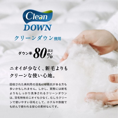 クリーン羽毛(リサイクル羽毛)掛布団　シングル　羽毛量1.4kg　色、柄おまかせ【1416590】