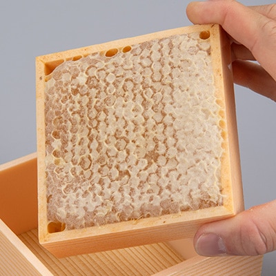 国産巣蜜(コムハニー)5個セット【1361441】