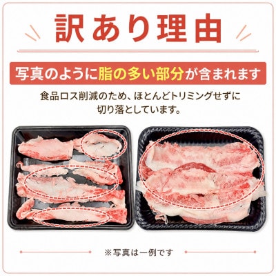 訳あり!この味プレミアム!【A4〜A5】博多和牛バラ切り落とし　500g/p(大牟田市)【配送不可地域：離島】【1743419】
