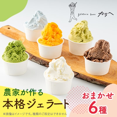 福岡県産 農家が作る本格ジェラート　　6種類おまかせセレクション【配送不可地域：離島】【1542987】