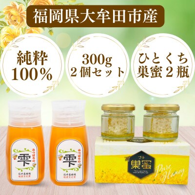 坂井養蜂場　みつばちの雫+プチ巣蜜セット　国産百花蜜300g×2　国産巣蜜30g×2【1263083】