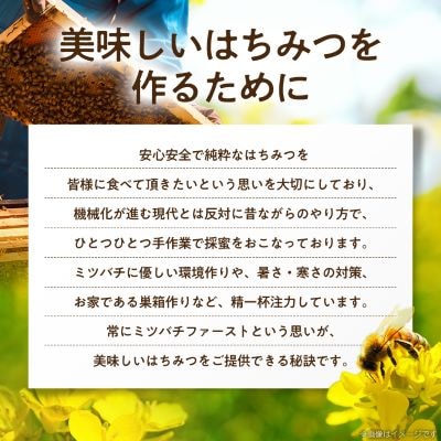 坂井養蜂場　みつばちの雫　500g+300g(合計800g)国産蜂蜜【1254446】