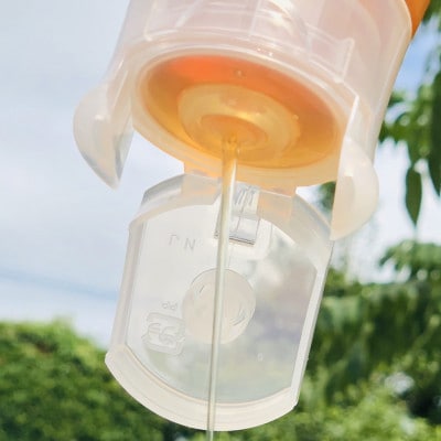 みつばちの雫　国産百花蜜　500g【1343859】