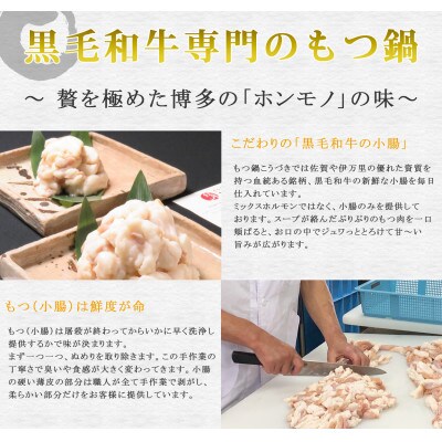 黒毛和牛専門　もつ鍋こうづき　もつ鍋セット　醤油味　2〜3人前(大牟田市)【配送不可地域：離島】【1281787】