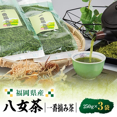 八女茶一番摘み茶 250g×3【1486505】