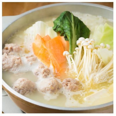 水炊き4人前セット(大牟田市)【配送不可地域：離島】【1557963】