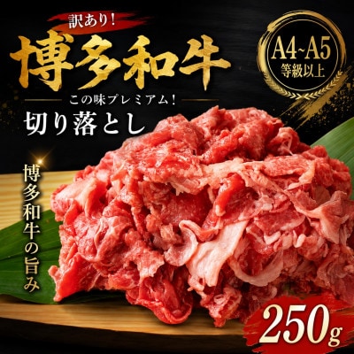 訳あり!【A4〜A5】この味プレミアム!博多和牛切り落とし　250g(大牟田市)【配送不可地域：離島】【1743902】