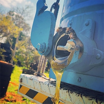 坂井養蜂場　昔ながらの蜂蜜　1000g【1089940】