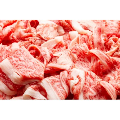 訳あり!【A4〜A5】博多和牛切り落とし　5kg(500g×10p)(大牟田市)【配送不可地域：離島】【1560980】