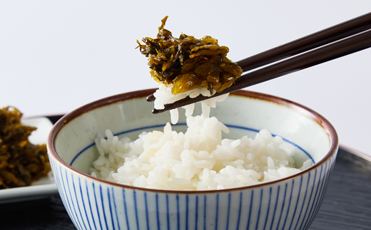 からし高菜【1642777】