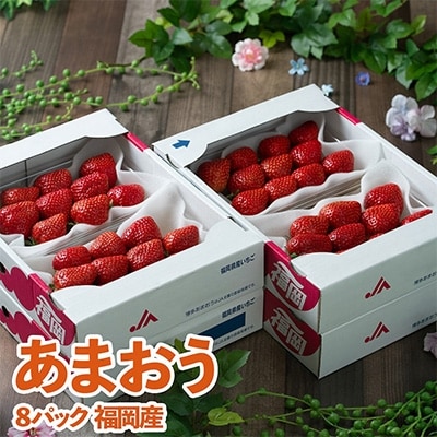 【11月下旬より順次発送】酸味と甘みの絶妙なバランス・冬あまおう8パック(大牟田市)【配送不可地域：離島・北海道・沖縄県】【1226664】