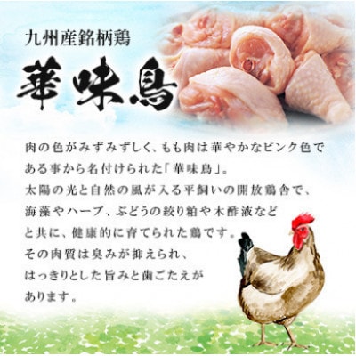 博多華味鳥 水たき・もつ鍋(醤油味)セット 各3〜4人前(大牟田市)【配送不可地域：離島】【1642656】