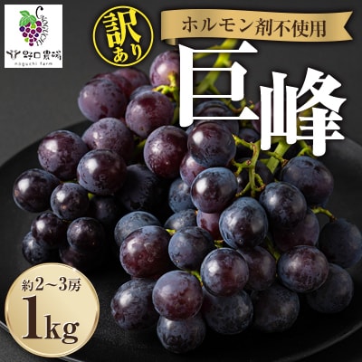 福岡県産　巨峰　1kg(野口農場)【配送不可地域：離島】【1529095】