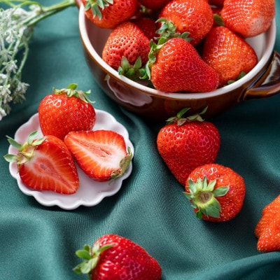 ã2026幎çºéå
è¡åä»ãé
žå³ãšçã¿ã®çµ¶åŠãªãã©ã³ã¹ã»æ¥ããŸãã4ããã¯(倧çç°åž)ãé
éäžå¯å°åïŒé¢å³¶ã»åæµ·éã»æ²çžçãã1226669ã