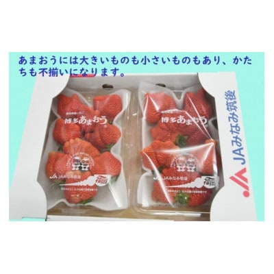 【期間限定】あまおうDX(デラックス)4パック(大牟田市)【配送不可地域：離島・北海道・沖縄県・東北】【1550974】