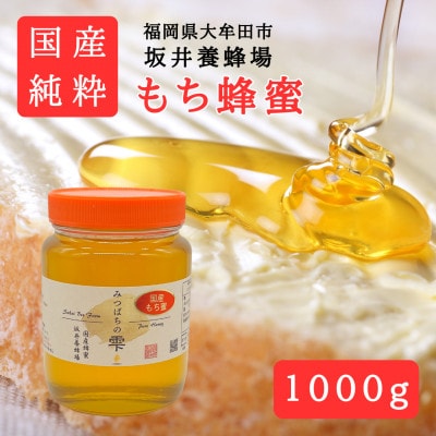 みつばちの雫　国産もち蜂蜜　1000g【1481085】