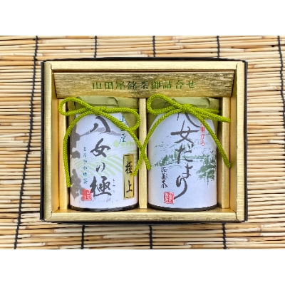 八女茶詰め合わせ　八女の極み(極上煎茶)・八女だより(特上深蒸し茶)【1750028】