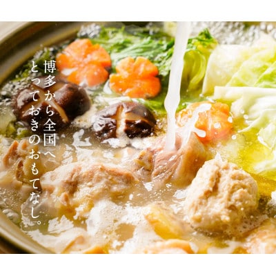 訳あり!博多水炊きセット　10人前(2人前×5セット)(大牟田市)【配送不可地域：離島】【1636745】