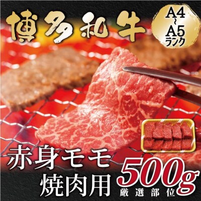 【A4〜A5】博多和牛赤身モモ焼肉用　500g(大牟田市)【配送不可地域：離島】【1560694】
