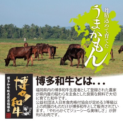 博多和牛生ハンバーグ150g×6パック　合計900g(大牟田市)【配送不可地域：離島】【1551843】