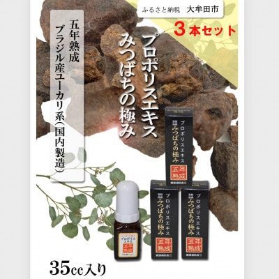 繝励Ο繝昴Μ繧ケ繧ィ繧ュ繧ケ縺ソ縺、縺ー縺。縺ョ讌オ縺ソ縲35ccテ3譛ャ繧サ繝繝医5蟷エ辭滓舌1445877縲