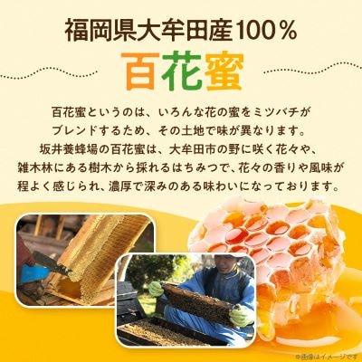 坂井養蜂場　みつばちの雫　1000g【1111654】