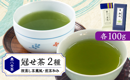 銘茶の里奥八女 特上深蒸し茶 高級煎茶(冠せ茶)(各100g×2)【1551643】