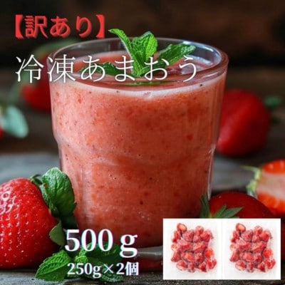 福岡県産 冷凍あまおう 500g(250g×2個)(大牟田市)【配送不可地域：離島】【1606730】