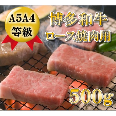 【A5A4等級使用】博多和牛ロース焼肉用500g(大牟田市)【配送不可地域：離島】【1288268】