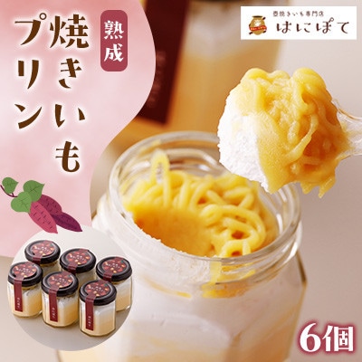 熟成焼きいもプリン(6個)【配送不可地域：離島】【1547135】