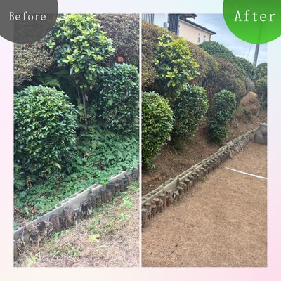 実家・空き家の草刈り・草取り・剪定(大牟田市)【1739304】