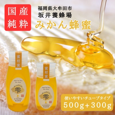 みつばちの雫　国産みかん蜂蜜　500g+300g【1481075】