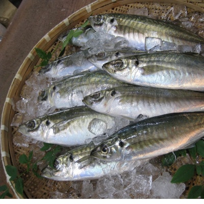 【無添加・天日干し・手造り】地あじひらき10枚セット【配送不可地域：離島】【1681929】