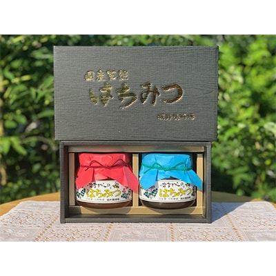 坂井養蜂場　昔ながらの蜂蜜　550g　2本組【1089941】