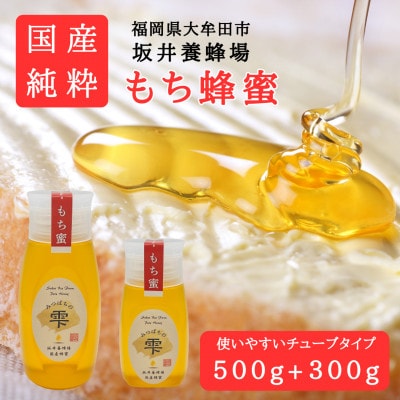 みつばちの雫　国産もち蜂蜜　500g+300g【1481088】