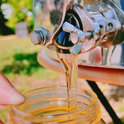 みつばちの雫　国産百花蜜　500g【1343859】