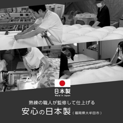 大牟田市生産 合繊掛け布団 シングルロング 中綿1.2kg 150×210cm ブラウン【1553812】