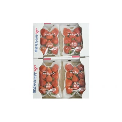 【期間限定】あまおうDX(デラックス)4パック(大牟田市)【配送不可地域：離島・北海道・沖縄県・東北】【1550974】