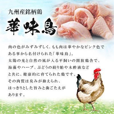 博多華味鳥 水たきセット 3〜4人前 ちゃんぽん麺付(大牟田市)【配送不可地域：離島】【1642680】