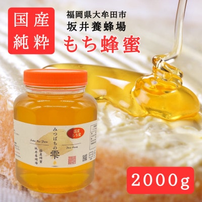 みつばちの雫　国産もち蜂蜜　2000g【1481084】