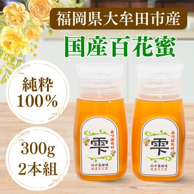 みつばちの雫　300g×2個セット　国産蜂蜜【1452807】