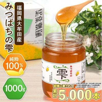 坂井養蜂場　みつばちの雫　1000g【1111654】