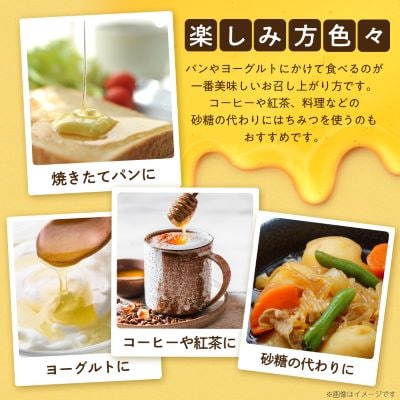 坂井養蜂場　昔ながらの蜂蜜　300g　2本組【1093309】