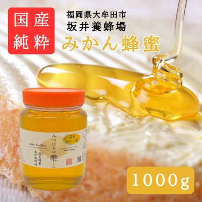 みつばちの雫　国産みかん蜂蜜　1000g【1481074】