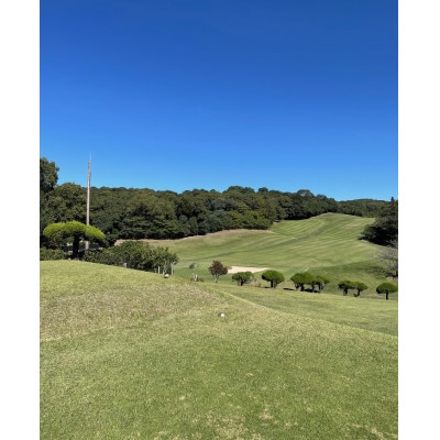 äžç¥ç«ãŽã«ãå Žãå¹³æ¥ (3åæ§å)1ã©ãŠã³ããã¬ãŒåžã1715873ã