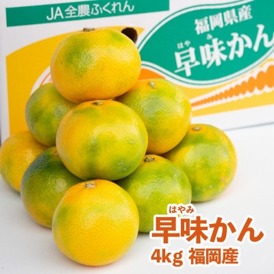 【先行受付】福岡オリジナルブランド　蜜柑 早味かん約4kg(大牟田市)【配送不可地域：離島】【1217262】