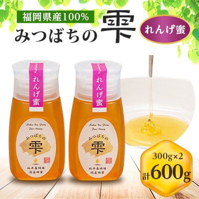 【5月〜6月発送】みつばちの雫　国産れんげ蜜　300g×2【1496814】